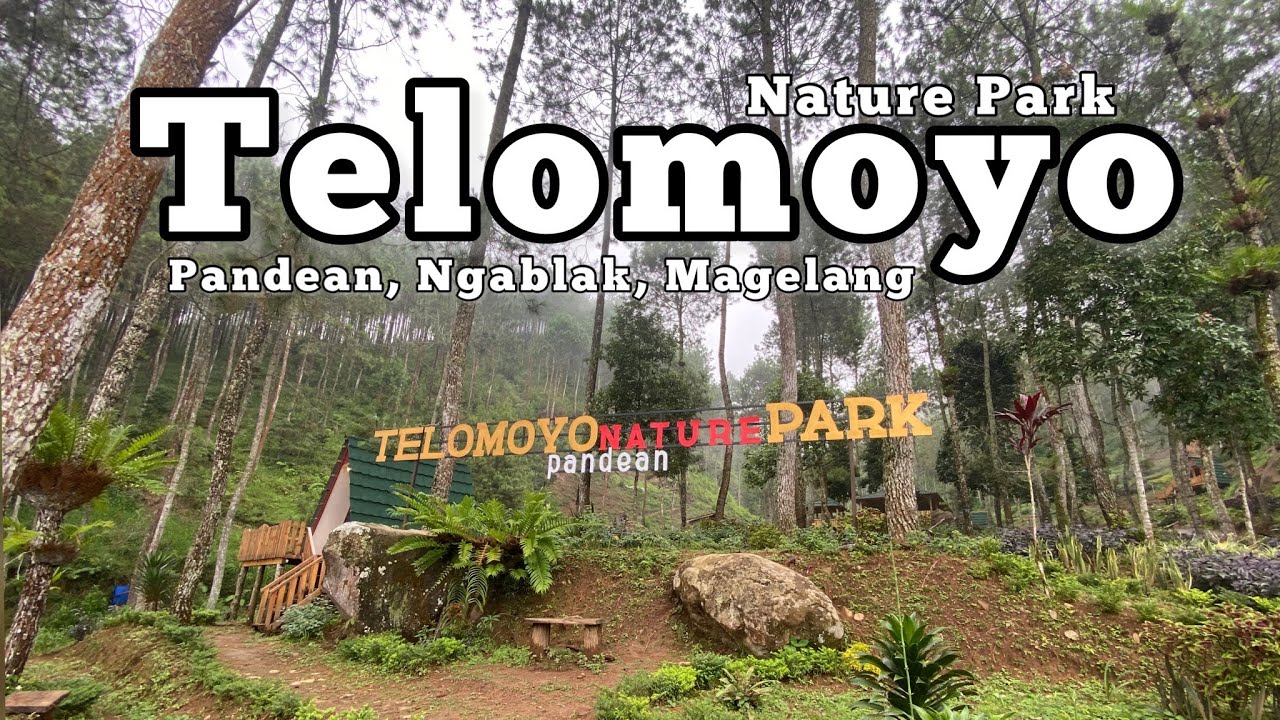 Telomoyo Nature Park: Pesona Alam Menakjubkan di Jawa Tengah